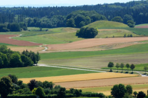 Leia mais sobre o artigo Código Florestal não retroage para cômputo de APP em reserva legal